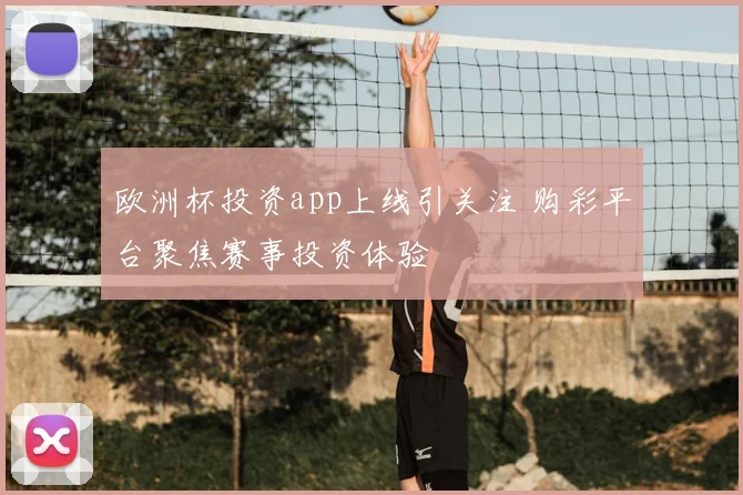 欧洲杯投资app上线引关注 购彩平台聚焦赛事投资体验